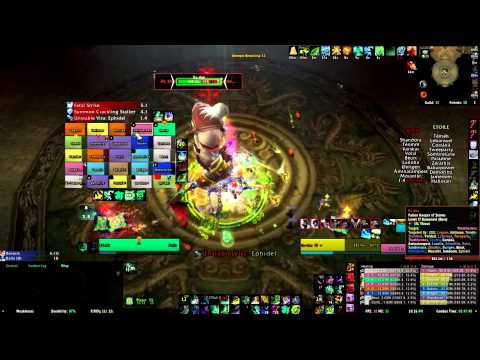 Raden 25 - Pandémønium Hyjal - WOW 5.3 FR