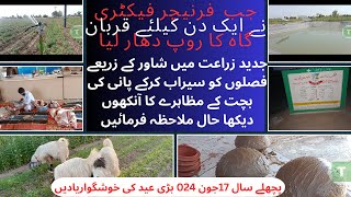BilalMasood 291 Vlogs: Last year's visit to (CHF)village for Eid UL Azha water sprinkles program.