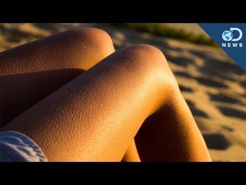 なぜ鳥肌が立つのか？ (Why Do We Get Goosebumps?)