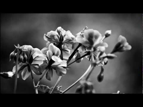 Inkfish - Sweet Aroma (Leron & Yves Eaux Remix)