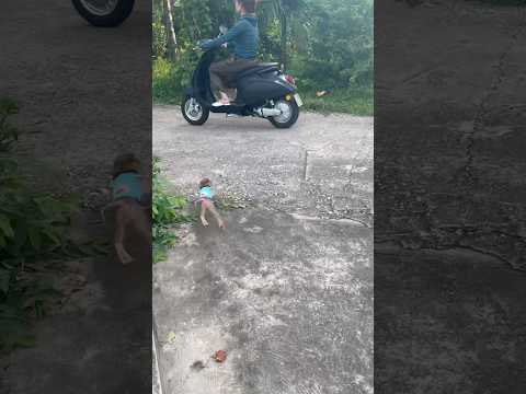 The baby monkey ran quickly after its mother.