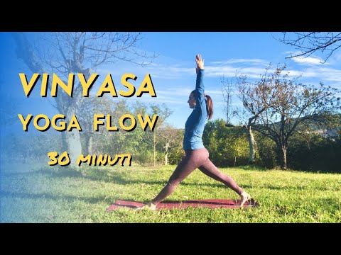 YOGA Vinyasa Flow ⎮Lezione completa ✹ 30 Minuti