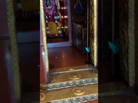 Thanjavur punnainallur mariyamman temple