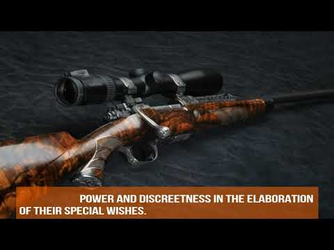 Johann Fanzoj art gun