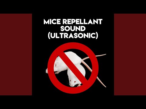 Mice Repellant Sound (Ultrasonic) , Pt. 38