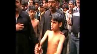 preview picture of video 'Raebareli - 9 Moharram 2009 part 1'