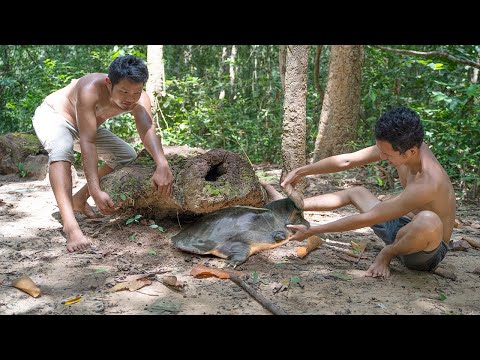 Amazing Found a lot Turtle Under Tree stump​ then cooking to Survival