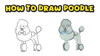 How to Draw a Poodle - Detailed and Complete Dog Breed Drawing Process