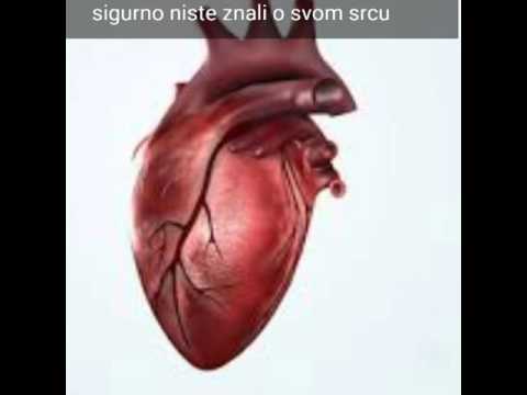 Top 5 stvari koje niste znali o svom srcu