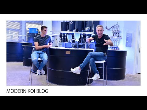 Modern Koi Blog #4932 - Was tun bei undichten Teichen im Winter