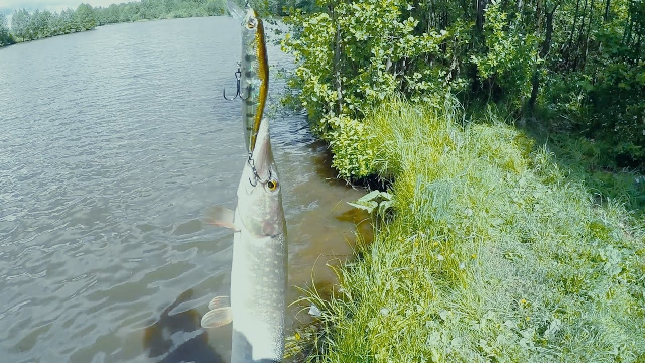 Видео Воблер Pontoon 21 CrackJack 98F SR