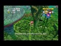 Sonic Heroes Frog Forest Team Rose
