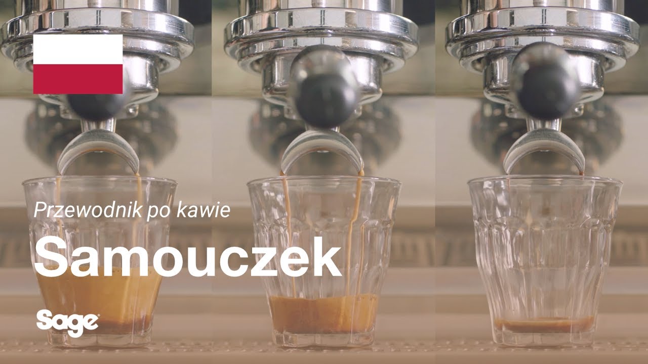 Zrównoważony zaparzony napar
