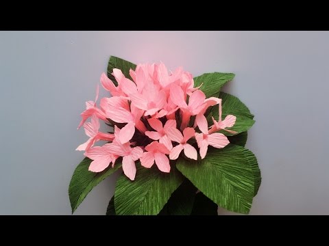 ABC TV | How To Make Bouvardia Paper Flowers From Crepe Paper - Craft Tutorial