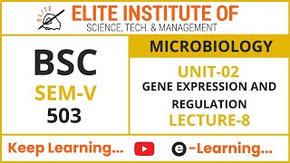 Download Lagu BSC SEM V || MICROBIOLOGY 503 || UNIT 2 || LECTURE 8 Thumbnail