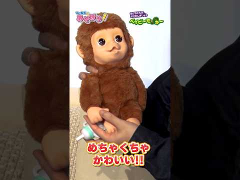 【てぃ先生とあそぼう！# 5】おもちゃでコミュニケーションを育む！ / まるで人間の赤ちゃんのようなベイビーモンキーを紹介‼ / ショート