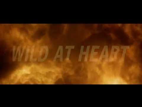Wild At Heart - Opening