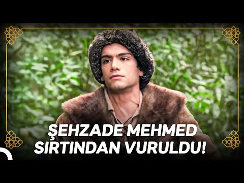 Şehzade Mehmed'e Hain Pusu! | Osmanlı Tarihi