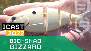Video thumbnail 1