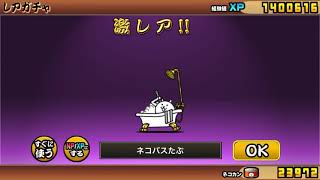 極ネコ祭引く