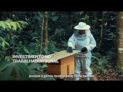 A produção rural de Benevides vem se desenvolvendo a cada dia.