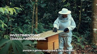 Vídeo: A produção rural de Benevides vem se desenvolvendo a cada dia.