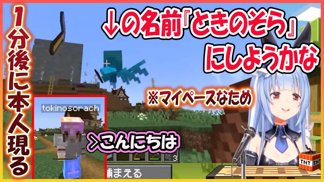 【ホロライブ切り抜き】マイペースなアレイに大先輩の名前を…その後ゴミを押し付けて立ち去るぺこら【兎田ぺこら/hololive】