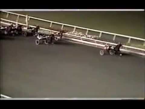 1988 Meadowlands MATTS SCOOTER N J Classic $500,000