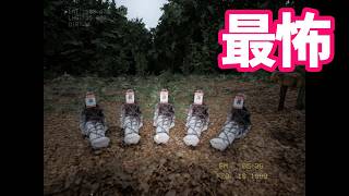 呪われた森の中を一人で歩くだけ!!【SilentBreath：ホラーゲーム】