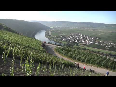 WRC Rally Germany 2010 Day 3