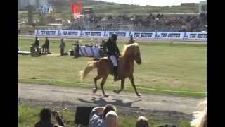 Þóroddur frá Þóroddsstöðum - Honorary prize for offspring - 2nd group of offspring - LM 2012