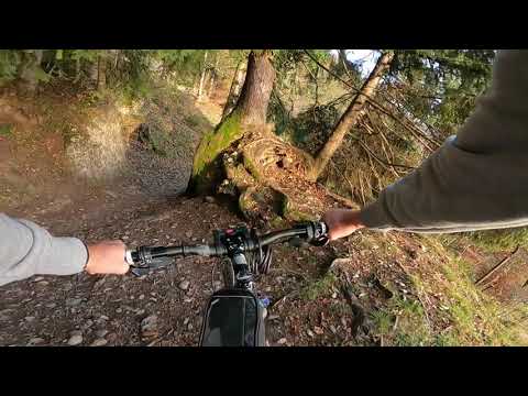 MTB Seebodenalp Rigi-Kaltbad Felsentor Weggis