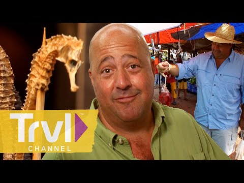 Most OUTRAGEOUS Street & Market Food | Bizarre Foods with Andrew Zimmern | Travel Channel