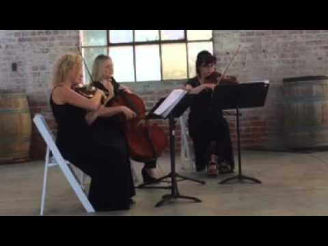 Promotional video thumbnail 2 for Harmony Strings
