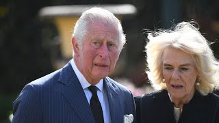 Prince Harry brought King Charles III's 'honeymoon period' to a 'screeching halt'