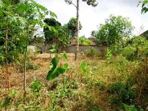 Murah Strategis 650 m2 Lahan View sawah di Sentral Ubud TJUB417 Murah Strategis 650 m2 Lahan View sawah di Sentral Ubud TJUB417