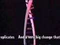 Mitosis Video 