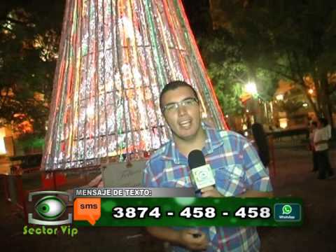 SECTOR VIP 2013 - ELECCION "LA LINDA DE SALTA" - LA NOCHE DE LOS JOVENES - GPO. YACONES