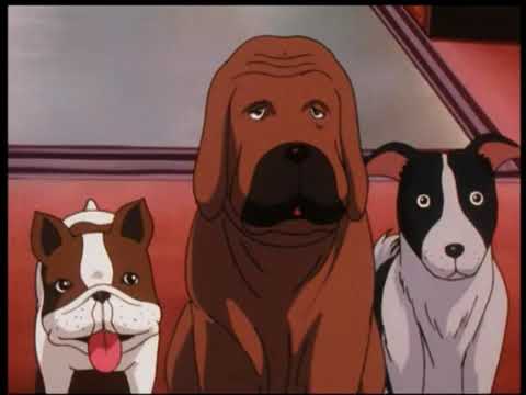 hunter x hunter 1999 ep 65 vf