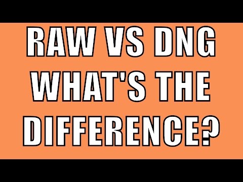 RAW VS DNG. What’s The Difference? | Q&A Ep. 56