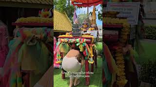ลอดศาลเพียงตา #พันท้ายนรสิงห์ 3 รอบ