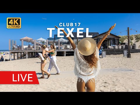 Club 17 Webcam in Texel
