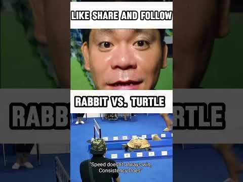 RABBIT VS. TURTLE ! #lifelessons #reality #RANBITVSTURTLE