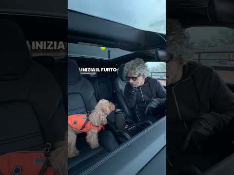 SCHERZO AL MIO CANE: FINGO DI ESSERE UN LADRO CHE RUBA LA MACCHINA! 😂🐶