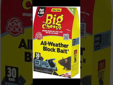 The Big Cheese Rat and Mouse Poison #shortvideo