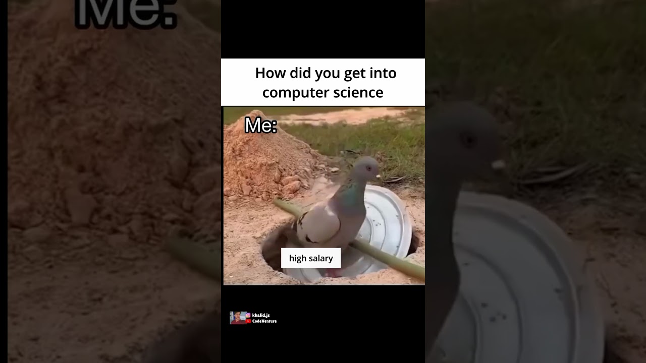 computer science mirage #coding #programming #javascript #python