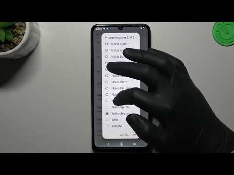 Nokia C31 All Ringtones Preview