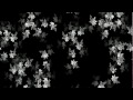 Symphony 128 Byte MsDos Intro