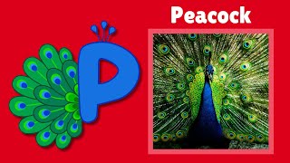 Learn the Alphabet | Fun Animal Shapes from A to Z