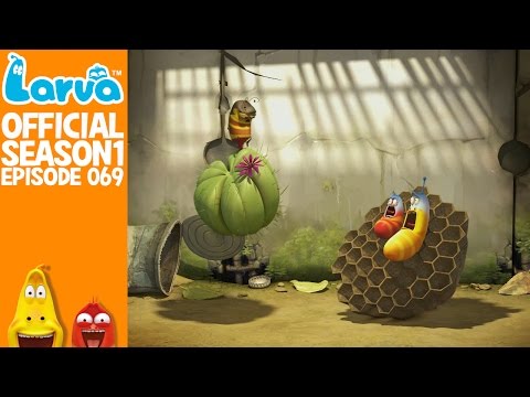 [Official]  Bee2 - Larva Season 1 Episode 69